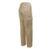 Image de Pantalon de travail extensible Gatts 